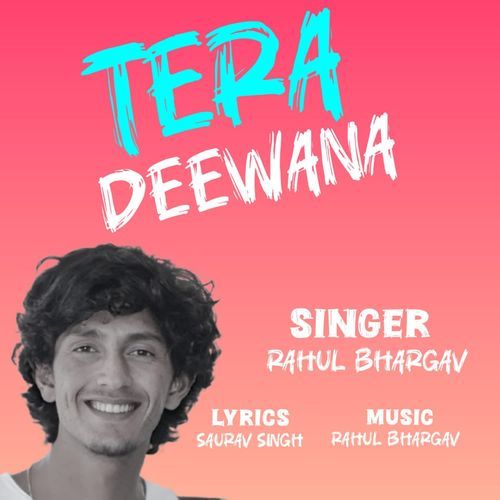 Tera Deewana