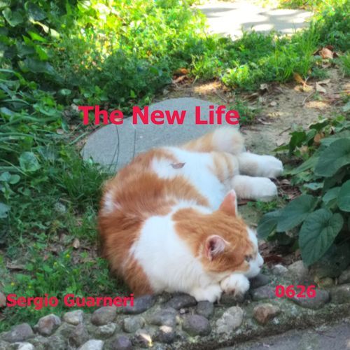 The New Life