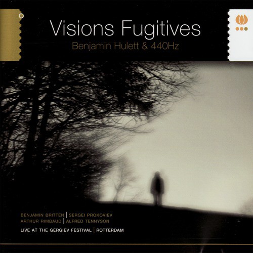 Visions Fugitives_poster_image