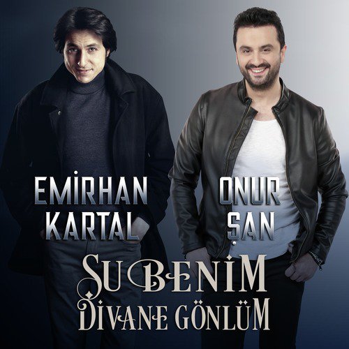 Şu Benim Divane Gönlüm_poster_image