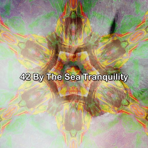 42 By The Sea Tranquility