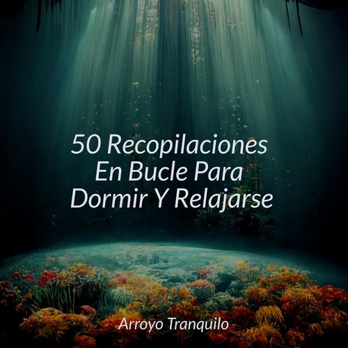 50 Recopilaciones En Bucle Para Dormir Y Relajarse_poster_image