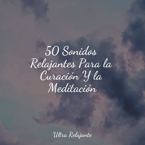 50 Sonidos Relajantes Para la Curación Y la Meditación_poster_image