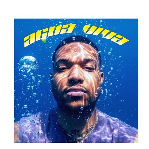 Agua Viva cover art