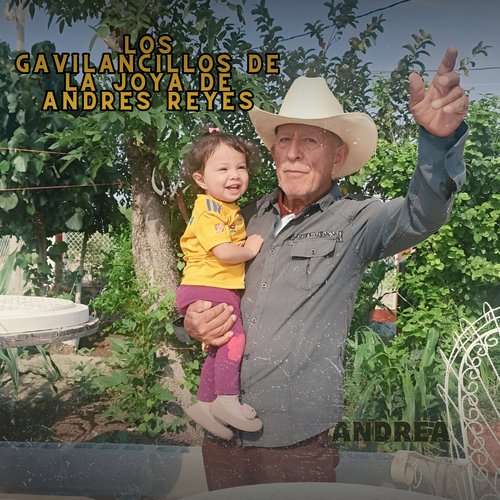 Andrea cover art