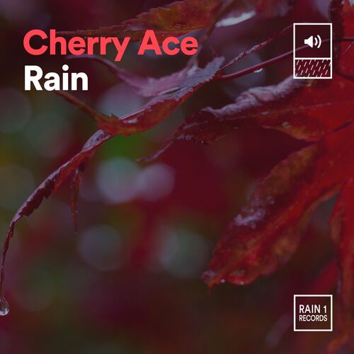 Cherry Ace Rain_poster_image