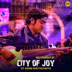 City of Joy
