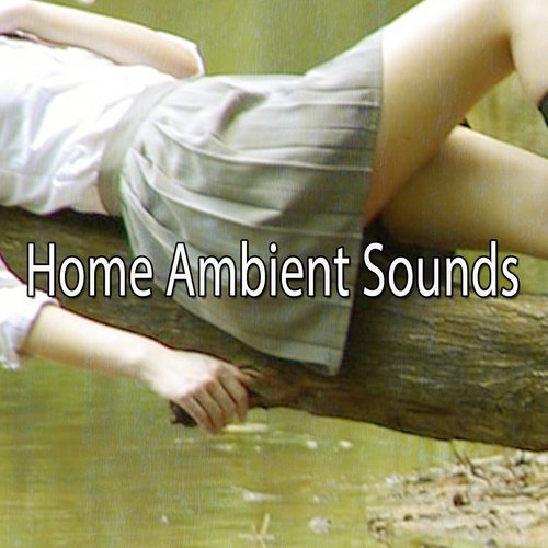 Home Ambient Sounds