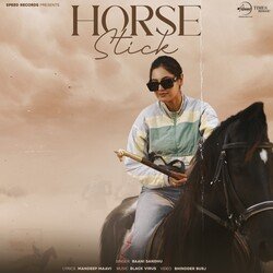 Horse Stick-ICYye0RSdno