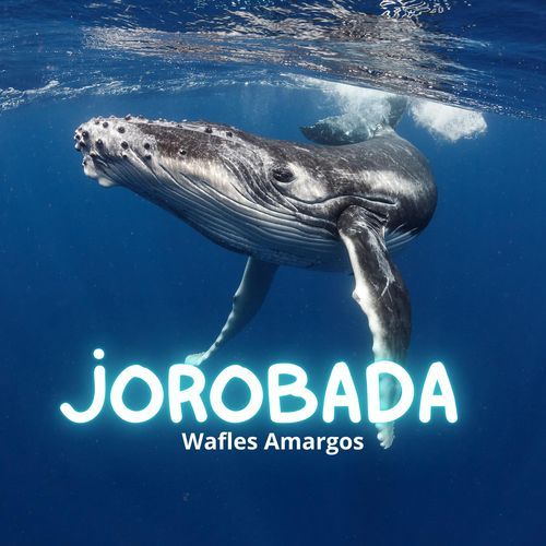Locales cover art
