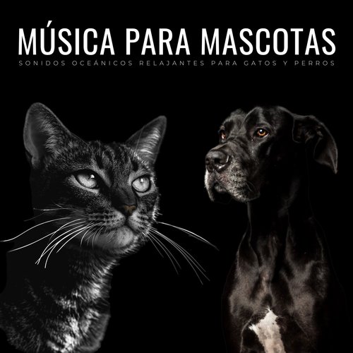 Mascotas Tranquilas cover art