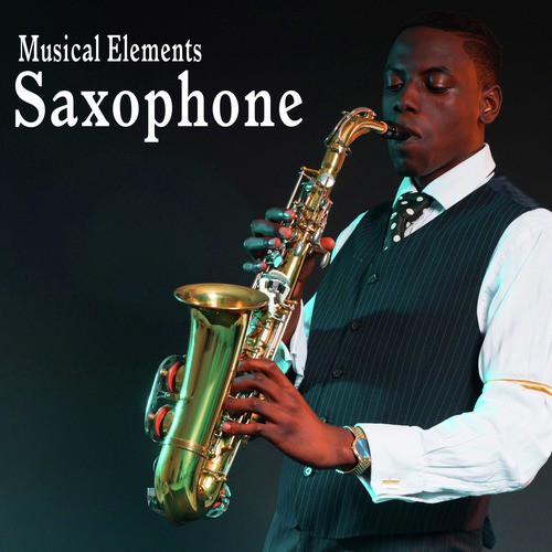 Baritone Saxophone Plays a Short Lazy Accent