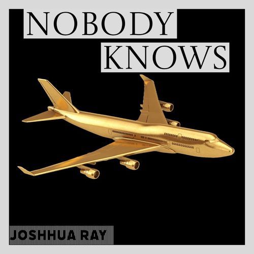 73chn0 Body cover art