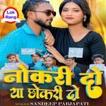 Nokri Do Ya Chhokri Do