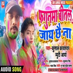 Phagunama bital jai chai na