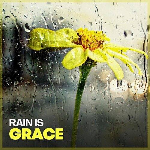 Gentle Raindrops, Pt. 14