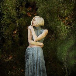 Running With The Wolves