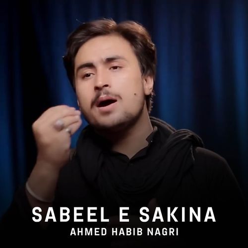 Sabeel E Sakina