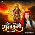 Santosh Pagal Bhulaile Melwa Me