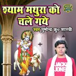 Shyam Mathura Ko Chale Gaye (Hindi)