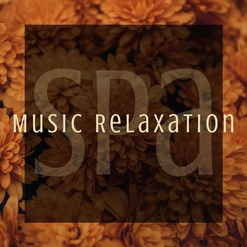 Spa Music Relaxation: Long Playlist of Relaxing New Age Music, Nature Sounds & Piano