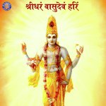 Sridharan Vasudev Hari