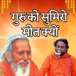 गुरु को सुमिरो मीत क्यों