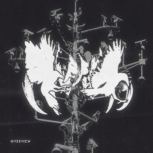 Talon / Turn The Lights Down