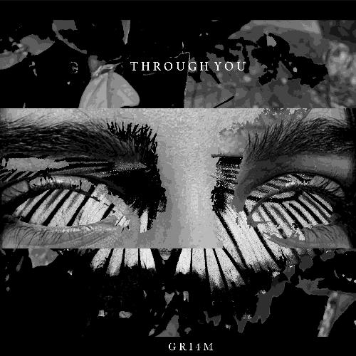 Through You_poster_image