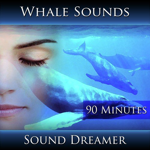 Whale Sounds - 90 Minutes