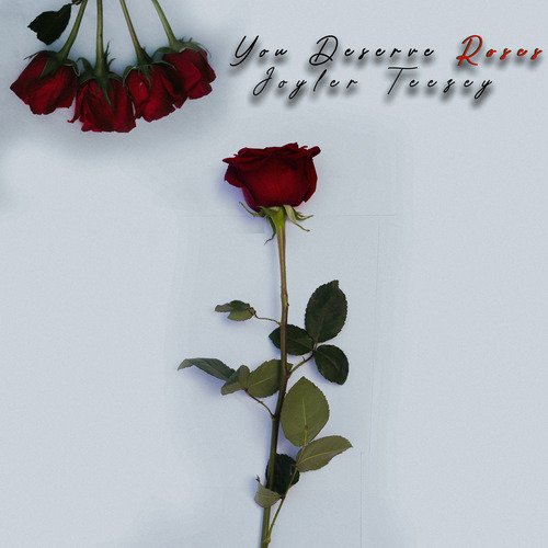 S O R R Y cover art