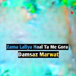 Zama Laliya Haal Ta Me Gora-AzpScgR-bmc