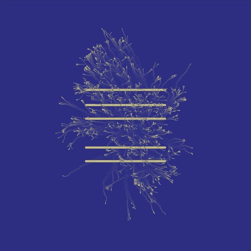 34-46 cover art