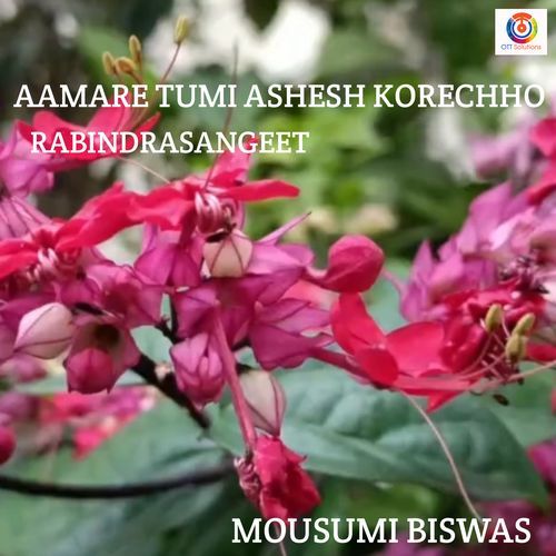 Aamare Tumi Ashesh Korechho