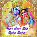Amar Gour Nitai Neche Neche