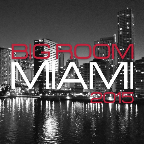 Big Room Miami, Vol. 5