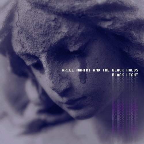 The Shelter cover art