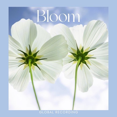 Bloom cover art