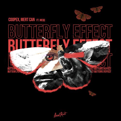 Butterfly Effect