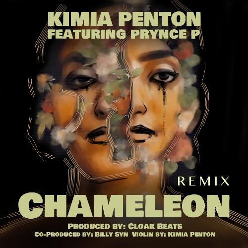 Chameleon (Remix)_poster_image