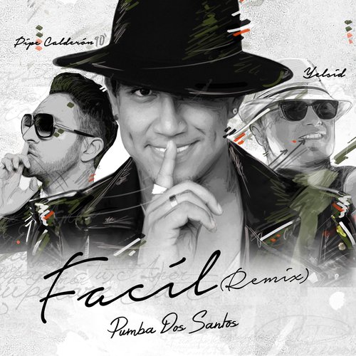 Fácil (Remix)_poster_image