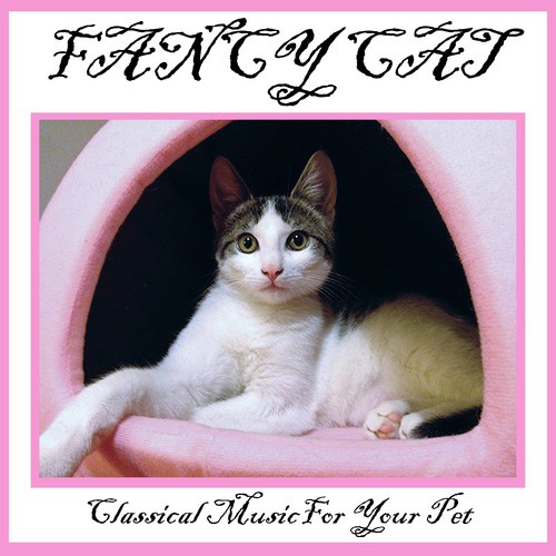 Fancy Cat: Classical Music For Your Pet