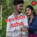 Fevicol Atha
