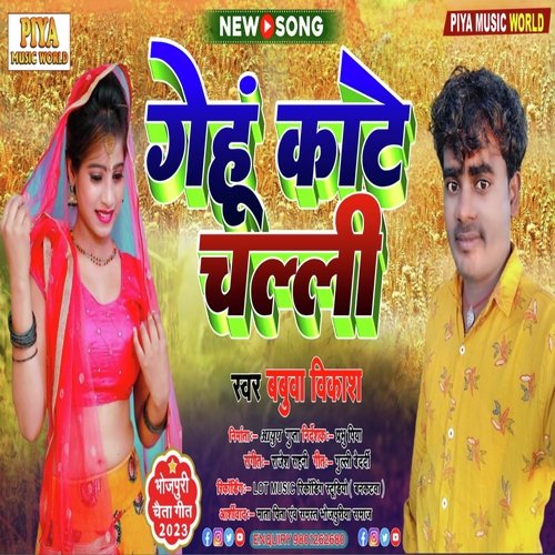 Gehu Kaate Chali