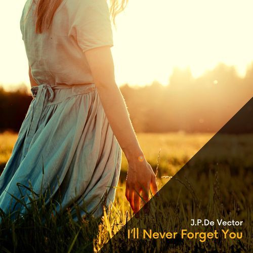 I'll Never Forget You