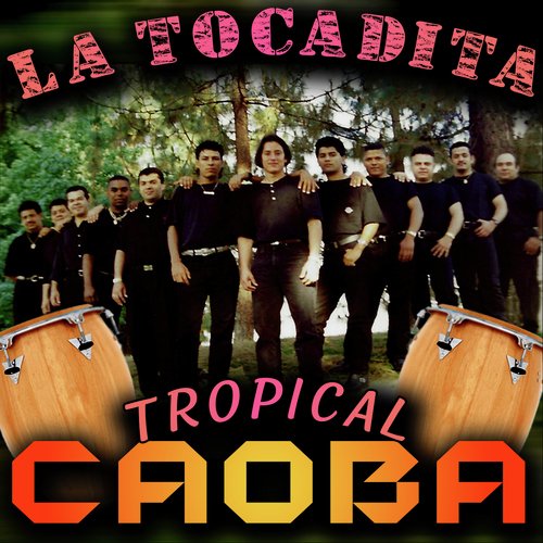 Cumbias para Bailar cover art
