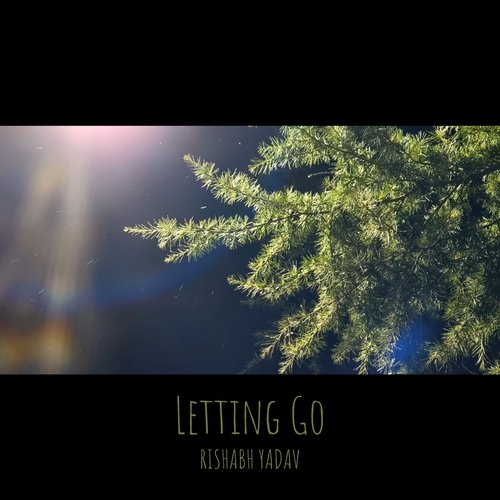 Letting Go_poster_image