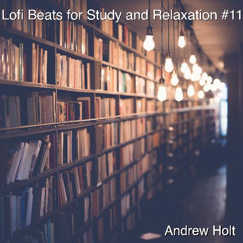 Lofi Beats for Study and Relaxation #11