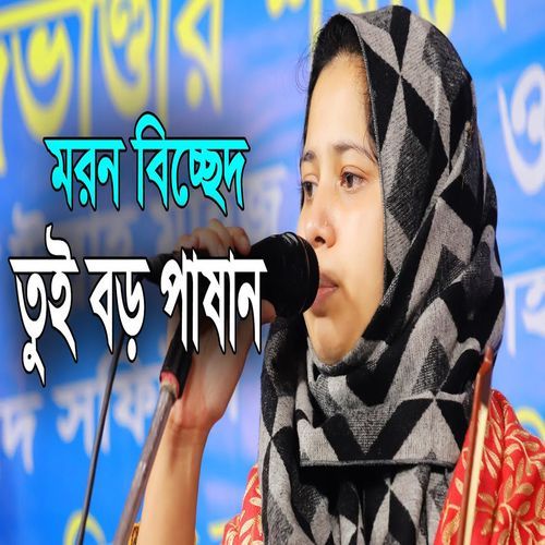 তুই বড় পাষান রে বন্ধ তুই বড় পাষান