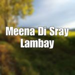 Meena Di Sray Lambay